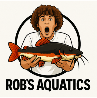 Rob's Aquatics Fish Farm
